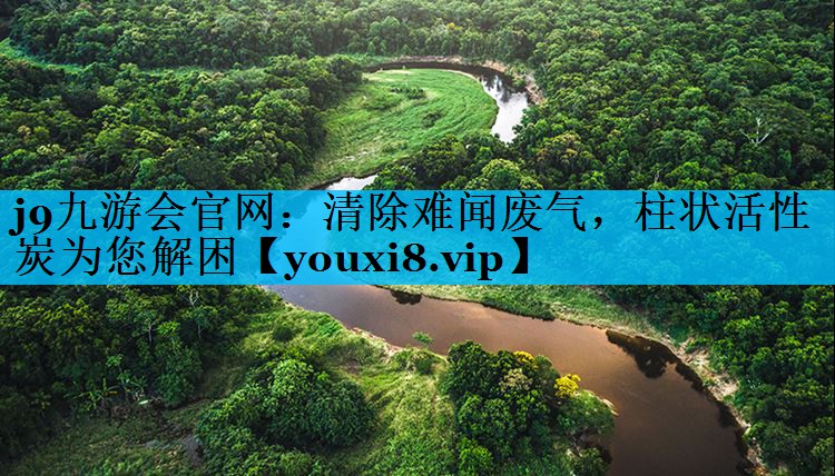 j9九游会官网：清除难闻废气，柱状活性炭为您解困