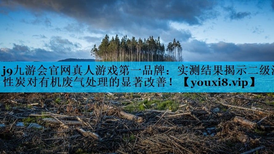<strong>j9九游会官网真人游戏第一品牌：实测结果揭示二级活性炭对有机废气处理的显著改善！</strong>