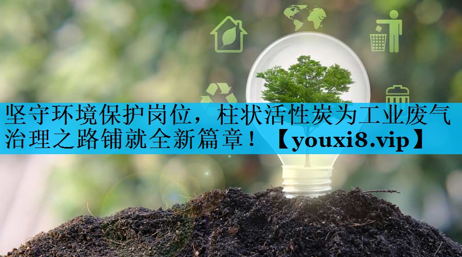 坚守环境保护岗位，柱状活性炭为工业废气治理之路铺就全新篇章！