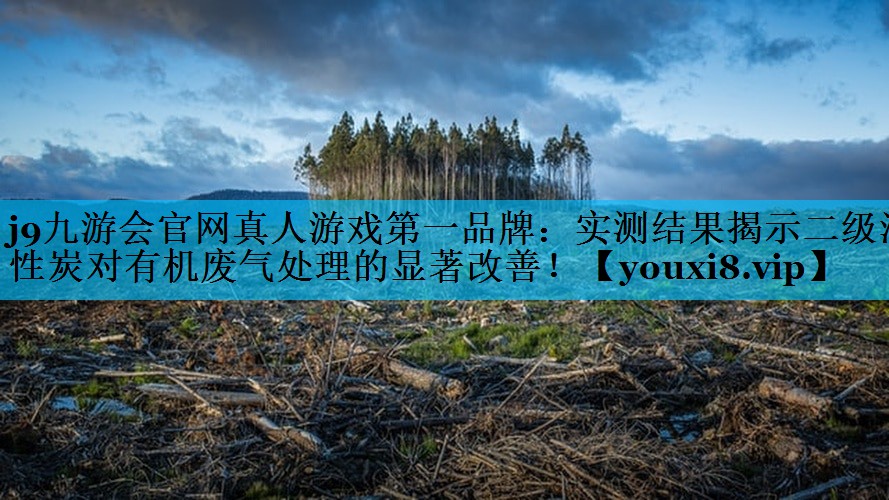 实测结果揭示二级活性炭对有机废气处理的显著改善！